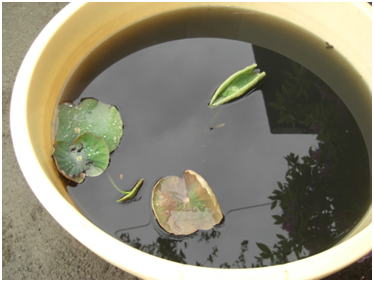 2011年5月11日