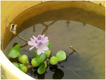2011年4月22日(1)