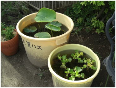 2011年5月24日(2)