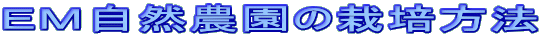 dlR_͔̍|@