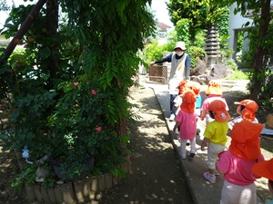 �������חc�t��