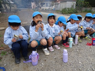 �������חc�t��