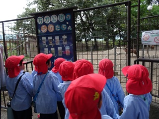 �������חc�t��