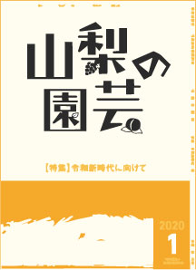 山梨の園芸サンプル