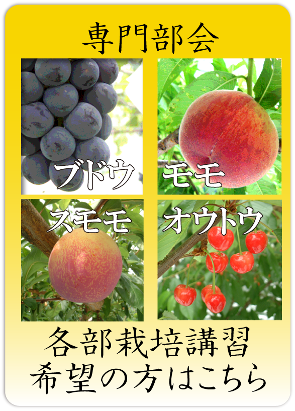 栽培講習希望の方はこちら